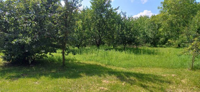 Eladó telek, Miskolcon, Új Élet utcában 14.8 M Ft