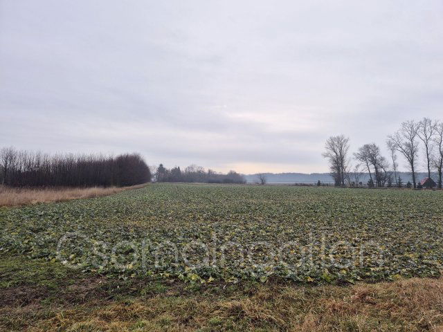 Eladó mezogazdasagi ingatlan, Babóton 10.5 M Ft