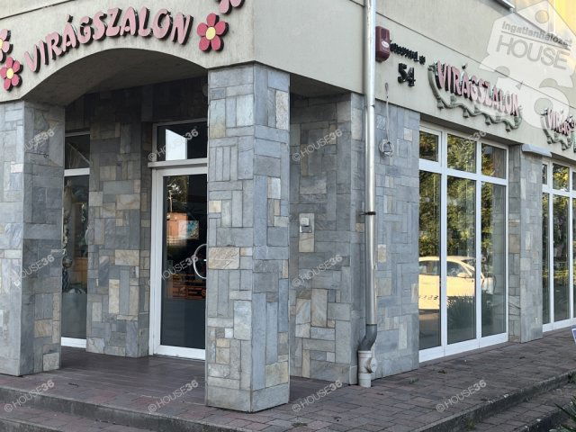 Eladó üzlethelyiség, Solton 120 M Ft, 2 szobás