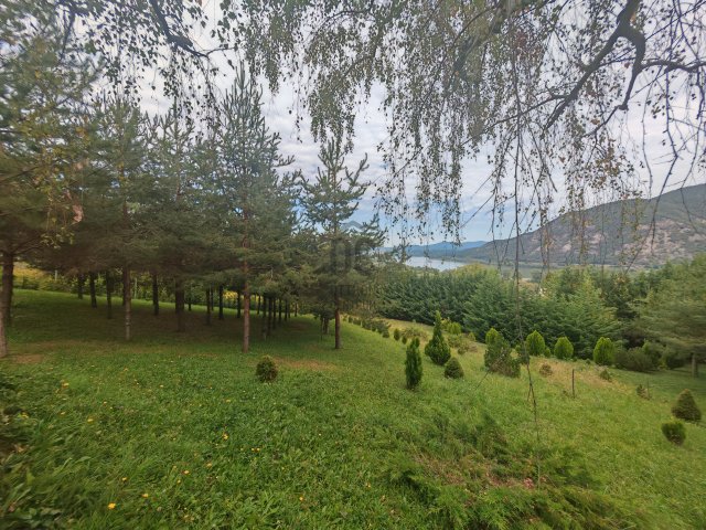 Eladó telek, Dömösön 29 M Ft / költözzbe.hu