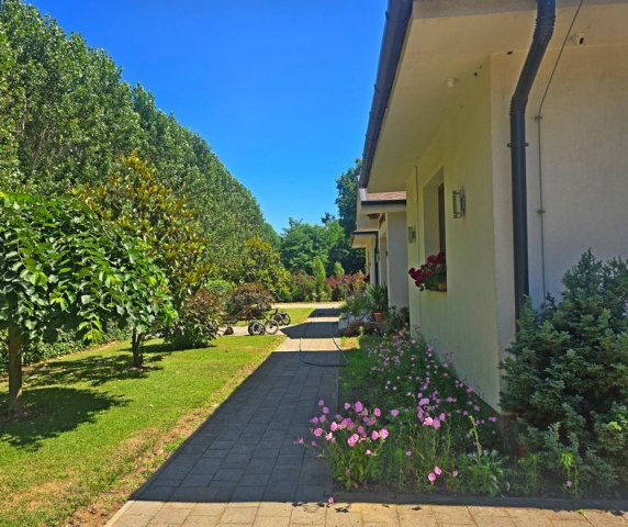 Kiadó üzlethelyiség, Nyíradonyban 2000 E Ft / hó, 8 szobás