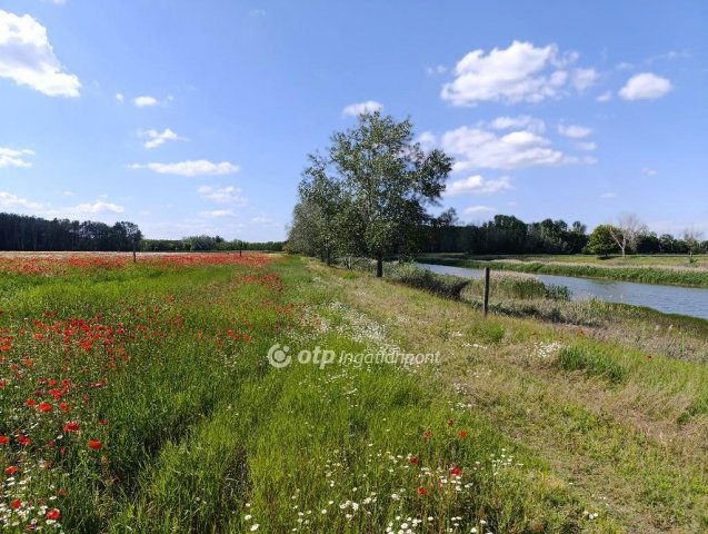 Eladó mezogazdasagi ingatlan, Pusztamérgesen 24.9 M Ft