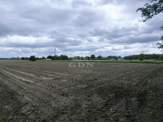 Eladó mezogazdasagi ingatlan, Pócsmegyeren 5.9 M Ft