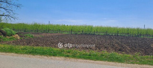 Eladó telek, Napkoron 7.9 M Ft / költözzbe.hu
