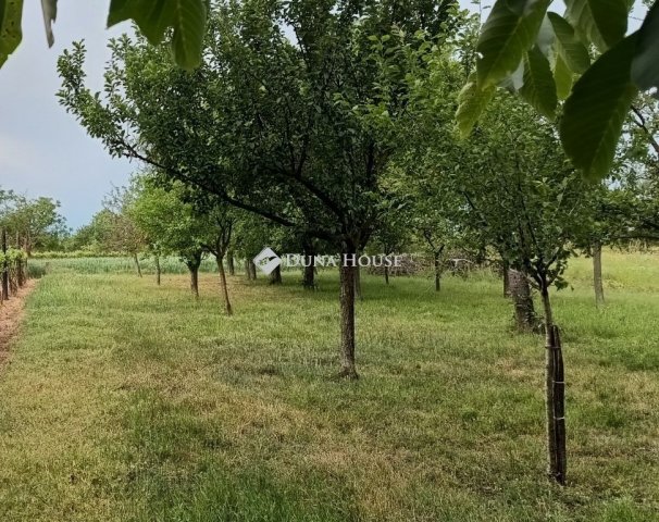 Eladó telek, Lepsényben 5.9 M Ft / költözzbe.hu