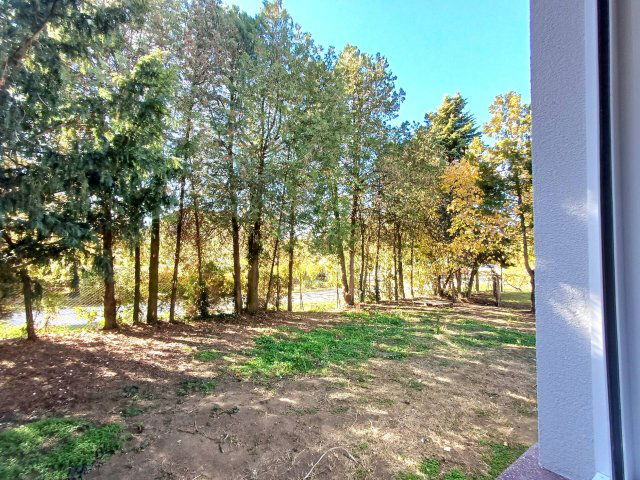 Eladó családi ház, Dunavarsányban 78.9 M Ft, 2 szobás