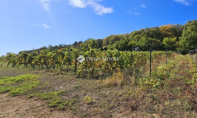 Eladó családi ház, Nagyharsányon 115 M Ft, 5 szobás