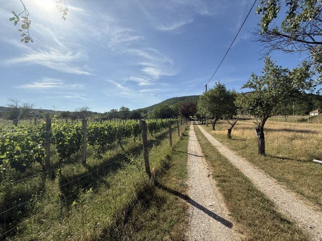Eladó családi ház, Csákváron 48.5 M Ft, 3 szobás