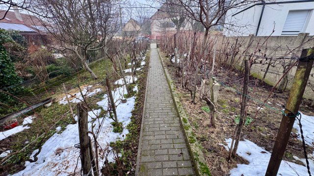 Kiadó családi ház, albérlet, Móron 240 E Ft / hó, 3 szobás