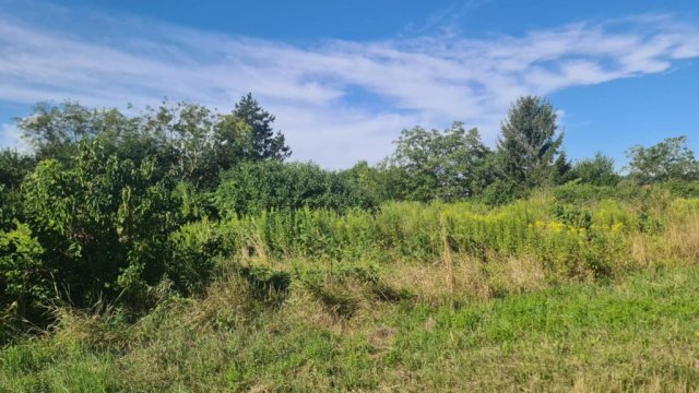 Eladó telek, Győrött 49.9 M Ft / költözzbe.hu