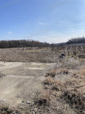 Eladó mezogazdasagi ingatlan, Lajosmizsén 99 M Ft