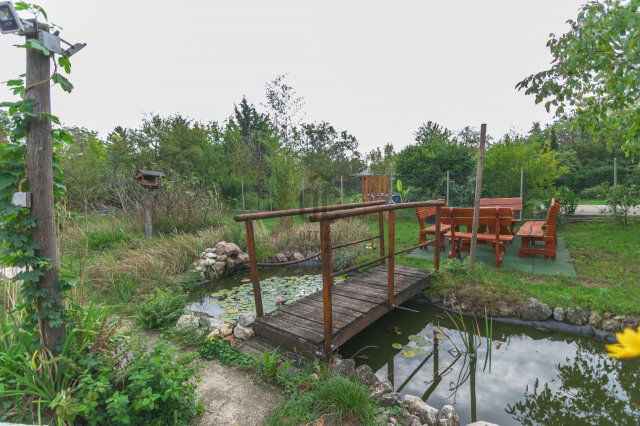Eladó családi ház, Szárligeten 79 M Ft, 2 szobás