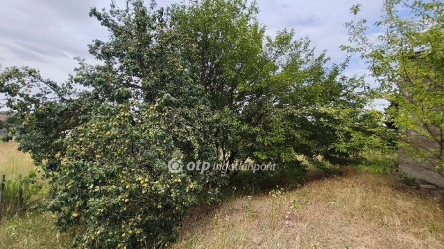Eladó telek, Kulcson 13.9 M Ft / költözzbe.hu