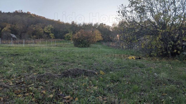 Eladó telek, Szigligeten 60 M Ft / költözzbe.hu