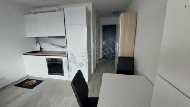 Kiadó téglalakás, albérlet, IX. kerületben, Lenhossék utcában