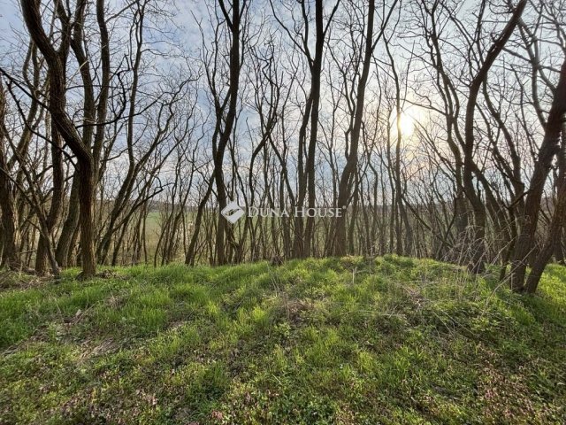 Eladó telek, Sárváron 13.9 M Ft / költözzbe.hu