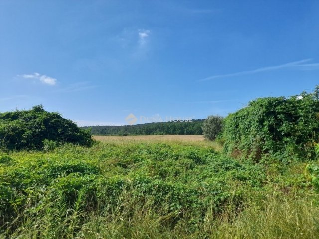 Eladó telek, Isaszegen 150 M Ft / költözzbe.hu