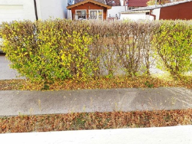 Eladó családi ház, Székesfehérvárott 52.9 M Ft, 3 szobás