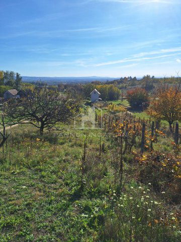 Eladó telek, Magyarpolányban 9.7 M Ft / költözzbe.hu