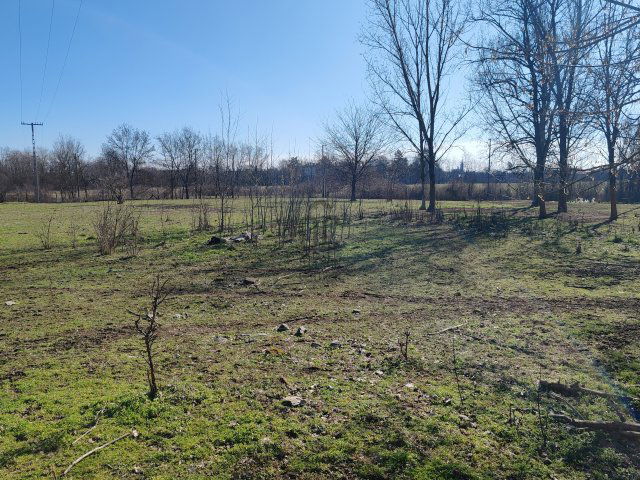 Eladó telek, Mezőtúron 8 M Ft / költözzbe.hu