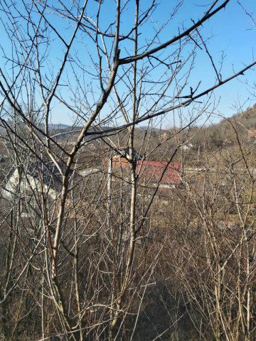 Eladó telek, Pilisjászfalun 16.5 M Ft / költözzbe.hu