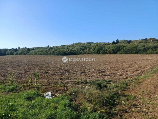 Eladó telek, Nyékládházán 8.5 M Ft / költözzbe.hu
