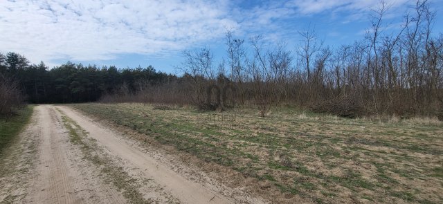 Eladó telek, Csévharaszton 3.5 M Ft / költözzbe.hu