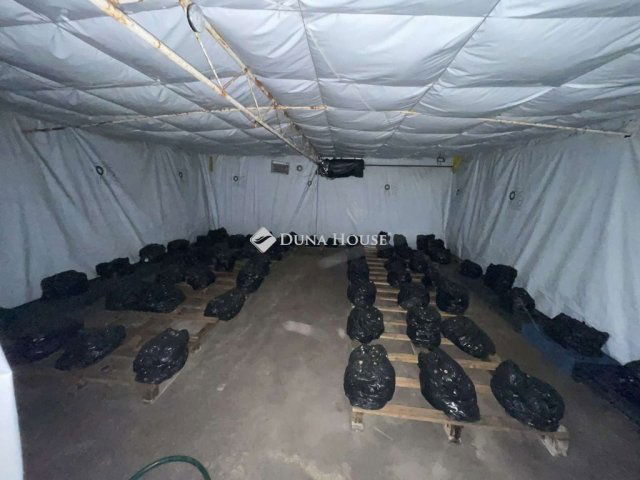 Eladó telek, Zákányszéken 5.75 M Ft / költözzbe.hu
