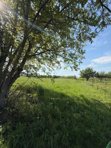 Eladó telek, Túronyon 3 M Ft / költözzbe.hu