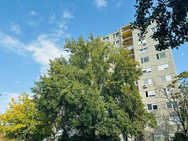 Eladó panellakás, Dunakeszin 70 M Ft, 3 szobás