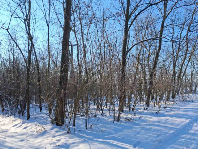 Eladó mezogazdasagi ingatlan, Tényőn 17.5 M Ft