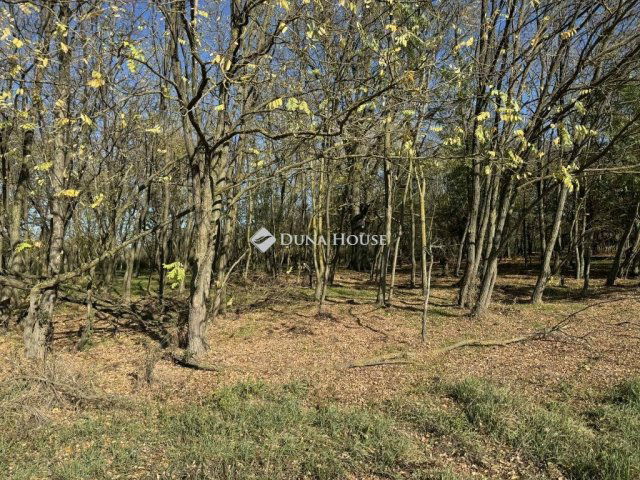 Eladó mezogazdasagi ingatlan, Harkányban 22.9 M Ft