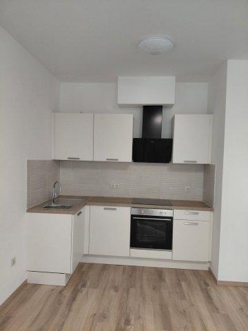 Kiadó téglalakás, albérlet, Budapesten, XI. kerületben