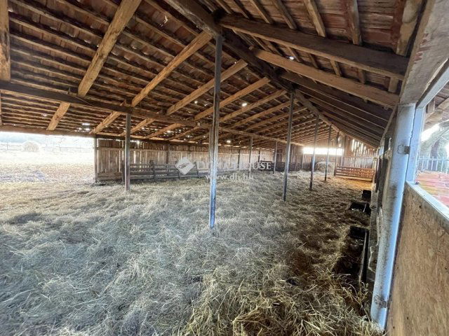 Eladó mezogazdasagi ingatlan, Kiskunmajsán 79 M Ft