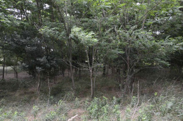 Eladó mezogazdasagi ingatlan, Hévízen 12.6 M Ft