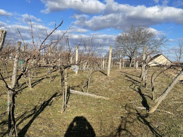 Eladó mezogazdasagi ingatlan, Hásságyon 4.5 M Ft