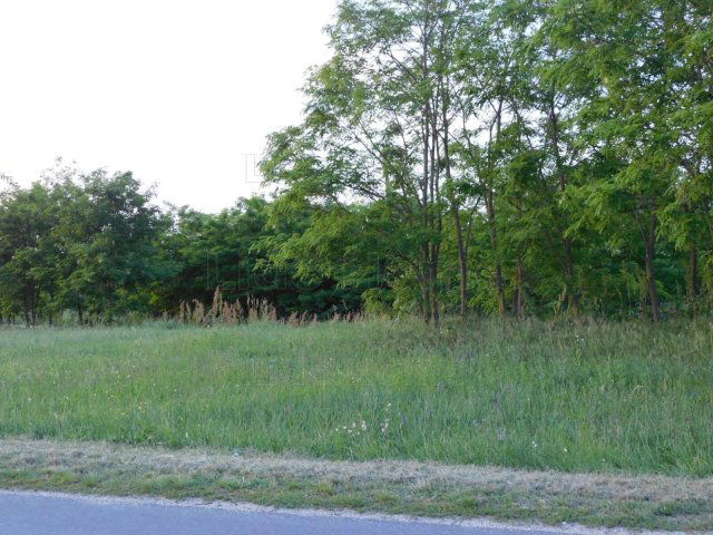 Eladó ipari ingatlan, Látrányon 15.5 M Ft / költözzbe.hu