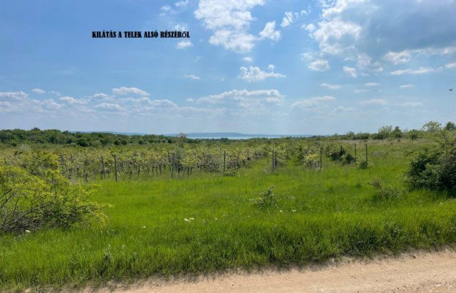 Eladó telek, Dörgicsén 44.5 M Ft / költözzbe.hu