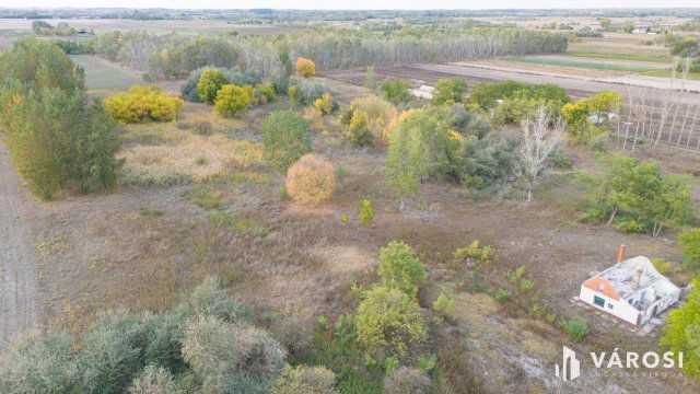 Eladó mezogazdasagi ingatlan, Balástyán 17.5 M Ft, 1 szobás