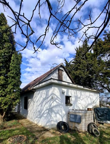 Eladó mezogazdasagi ingatlan, Pellérden 12.99 M Ft