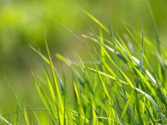 Eladó telek, Gyömrőn 58.5 M Ft / költözzbe.hu