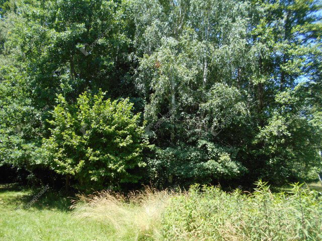 Eladó családi ház, Hegyhátszentjakabon 28 M Ft, 2 szobás