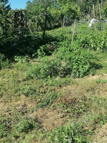 Eladó nyaraló, Nagykapornakon 9.9 M Ft, 1 szobás