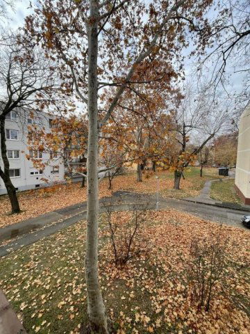 Eladó téglalakás, Kecskeméten 44.99 M Ft, 2 szobás