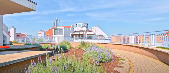 Eladó téglalakás, Budapesten, VII. kerületben 339 M Ft, 7 szobás