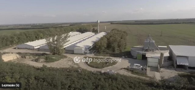 Eladó mezogazdasagi ingatlan, Nagylókon 700 M Ft
