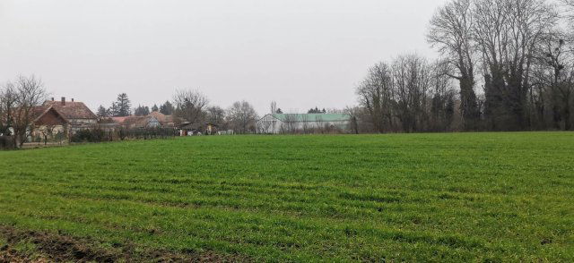 Eladó telek, Zalabéren 33.5 M Ft / költözzbe.hu