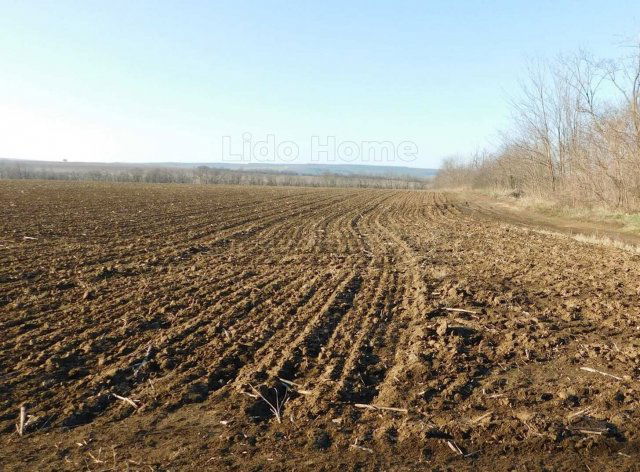 Eladó mezogazdasagi ingatlan, Balatonendréden 11.99 M Ft
