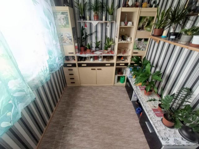 Eladó panellakás, Oroszlányban 29.5 M Ft, 2 szobás