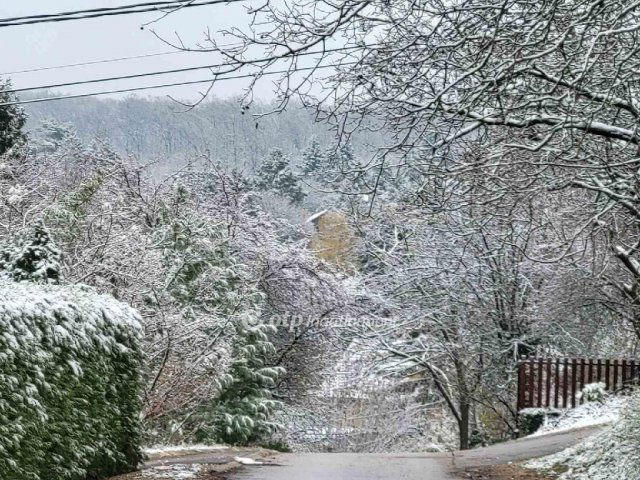Eladó családi ház, Telkin 225 M Ft, 5+1 szobás